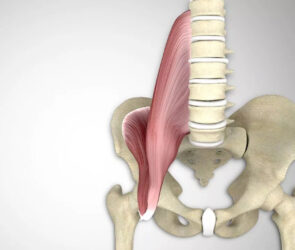 Muschiul Psoas