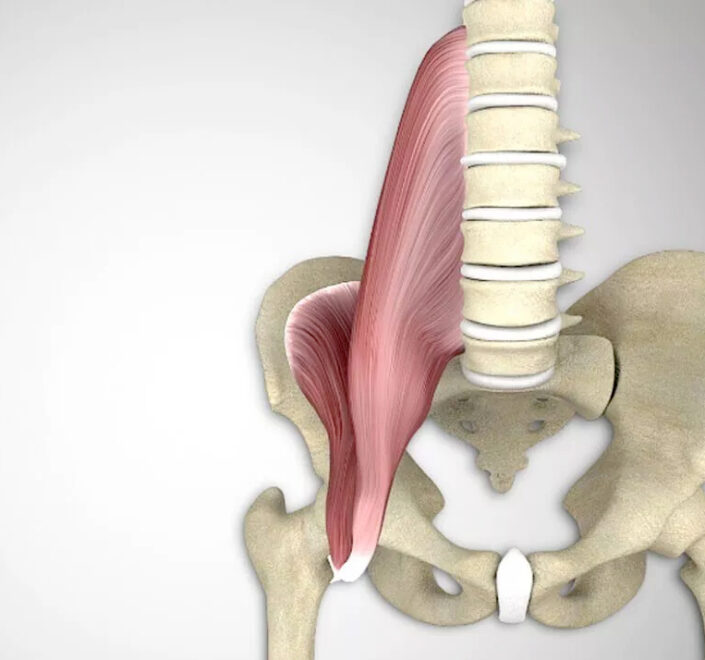Muschiul Psoas