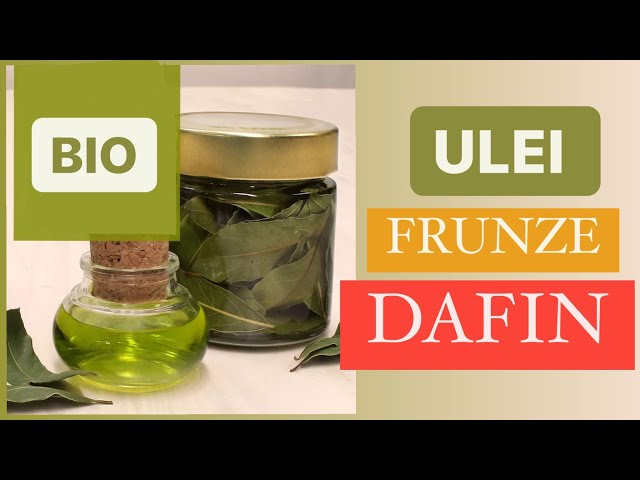 uleiul de dafin