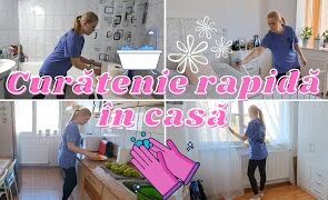 Curatenie rapida in casa