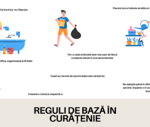 Reguli de curatenie