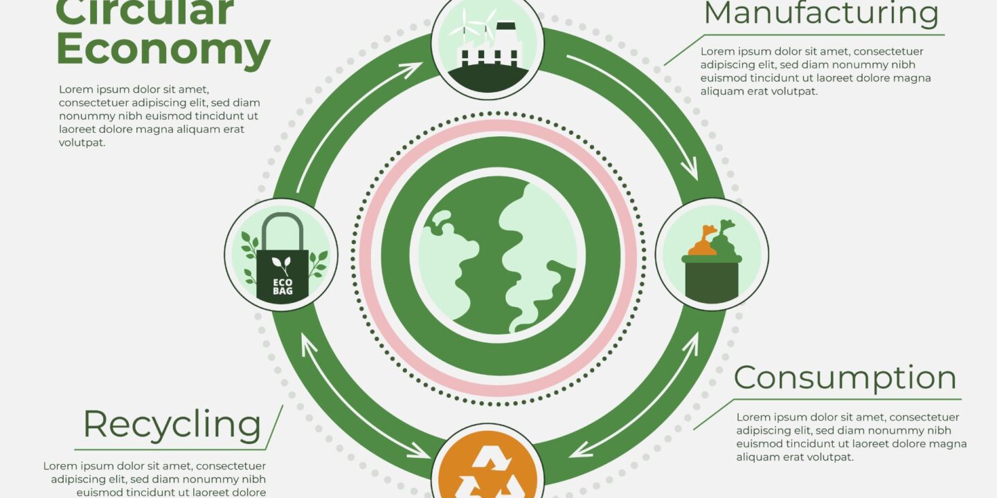Ambalajele alimentare ecologice