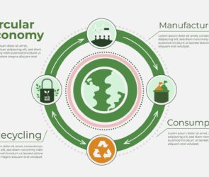 Ambalajele alimentare ecologice