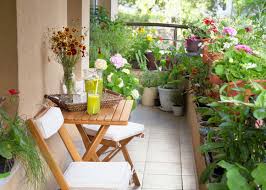 Gradina urbana pe balcon