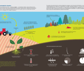 Schimbarile climatice