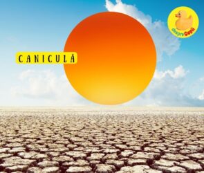 canicula-sfaturi