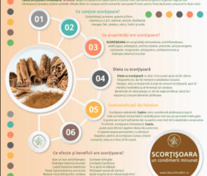 Scortisoara