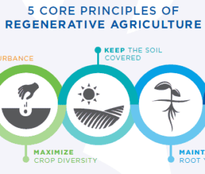 Agricultura regenerativa