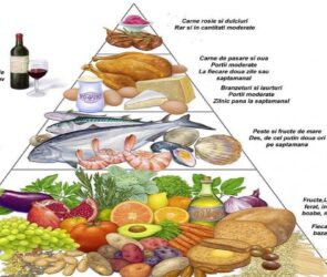 Alimentatia optima