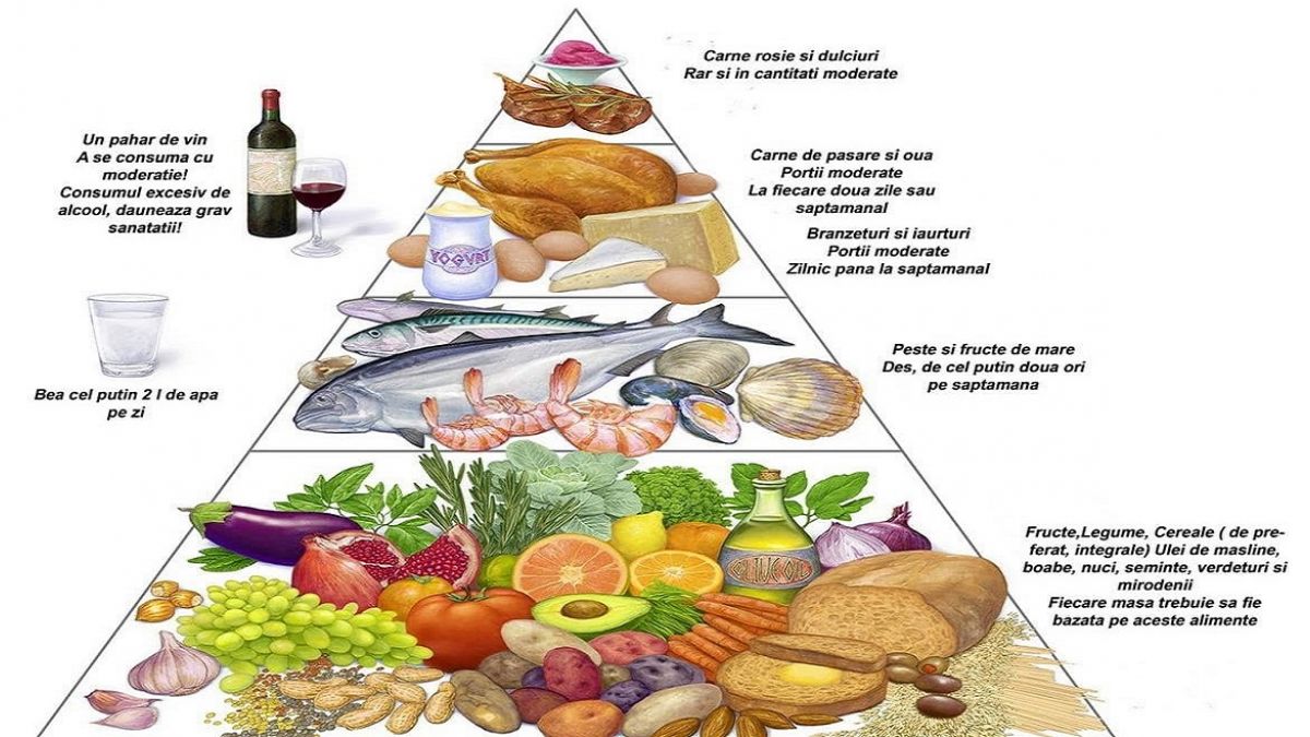 Alimentatia optima
