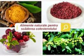 Alimente care scad colesterolul