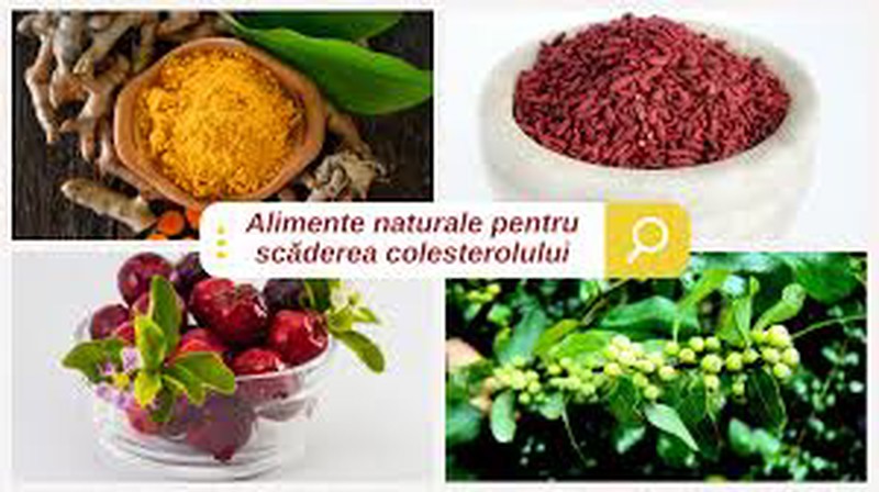 Alimente care scad colesterolul