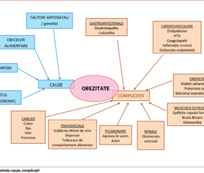 Obezitatea