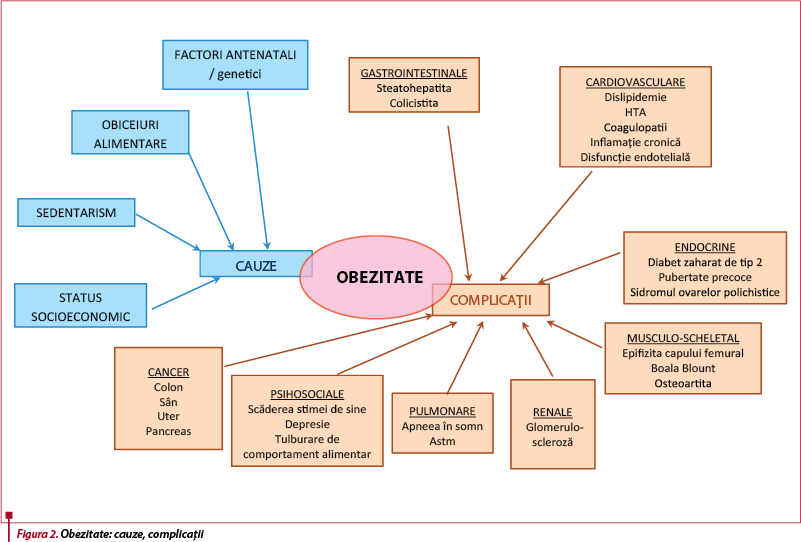 Obezitatea