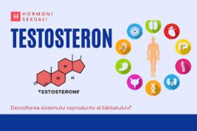 Testosteron
