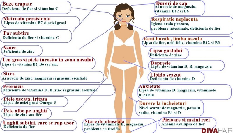 Vitamine si minerale pentru organism
